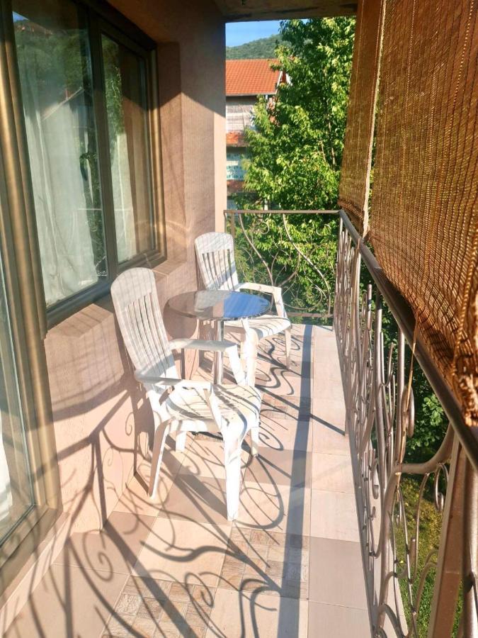 Guest House Dimitrije Niska Banja Exterior photo