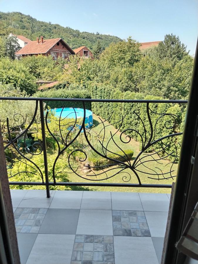 Guest House Dimitrije Niska Banja Exterior photo