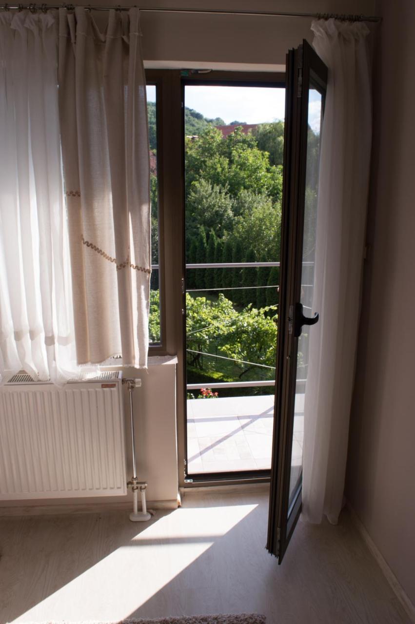 Guest House Dimitrije Niska Banja Exterior photo